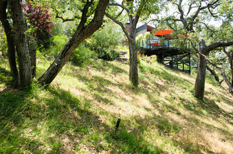 Enlarge photo 64