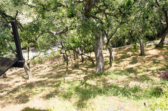 Enlarge photo 65