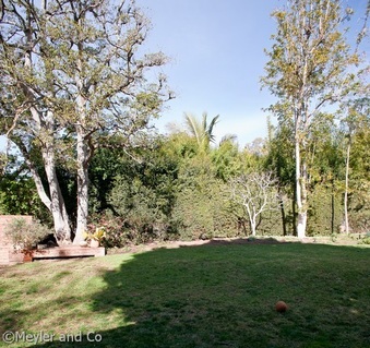 Enlarge photo 44