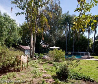 Enlarge photo 49