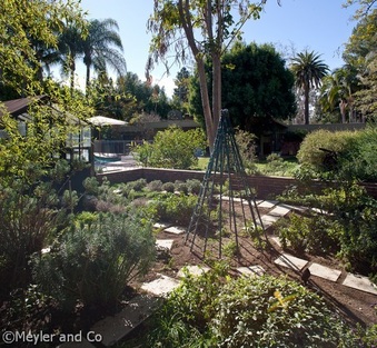 Enlarge photo 51