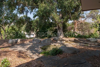 Enlarge photo 57