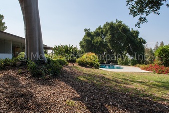 Enlarge photo 58