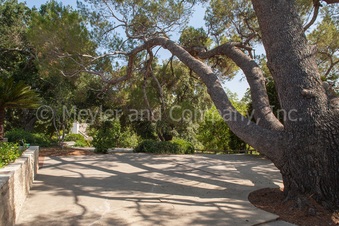 Enlarge photo 62