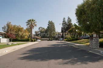 Enlarge photo 66