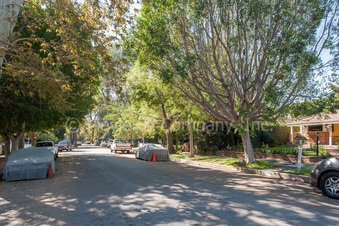 Enlarge photo 49