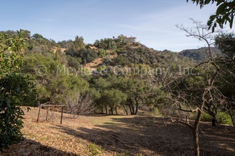 Enlarge photo 65