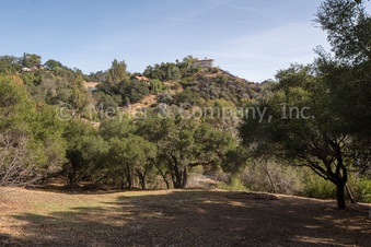 Enlarge photo 72