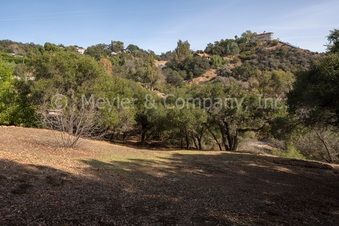 Enlarge photo 73