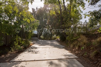 Enlarge photo 83