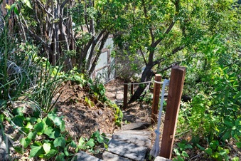 Enlarge photo 46