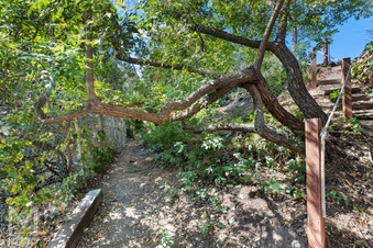 Enlarge photo 47