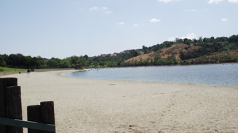 BEACH AREA