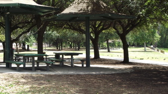 GRASSY AREAS WITH PICNIC TABLES