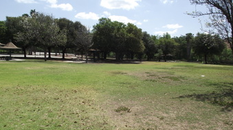 Enlarge photo 6