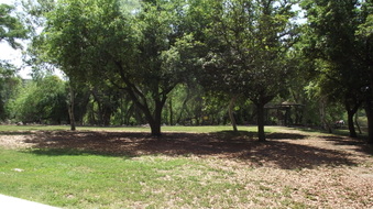 Enlarge photo 12