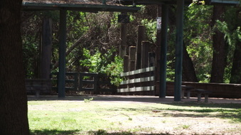 Enlarge photo 13