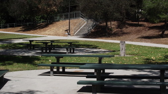 Enlarge photo 15