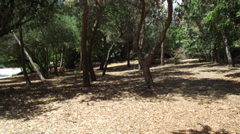 PUDDINGSTONE