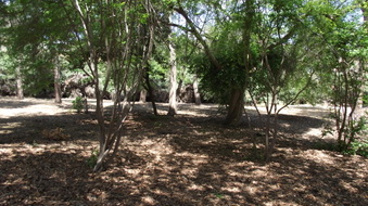 Enlarge photo 2