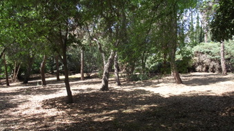 Enlarge photo 3