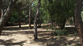 Enlarge photo 4