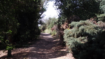 Enlarge photo 5