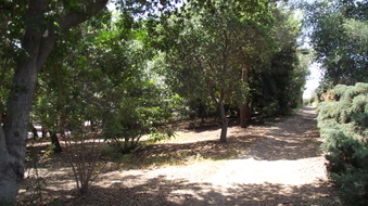 Enlarge photo 6