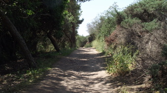 Enlarge photo 7