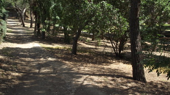 Enlarge photo 8