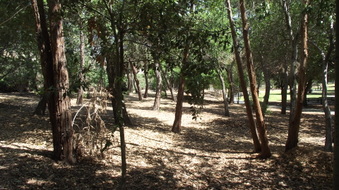Enlarge photo 9