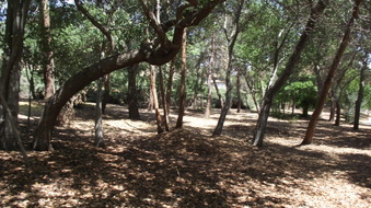 Enlarge photo 10