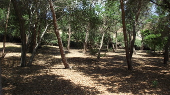 Enlarge photo 12