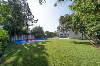 Enlarge photo 83