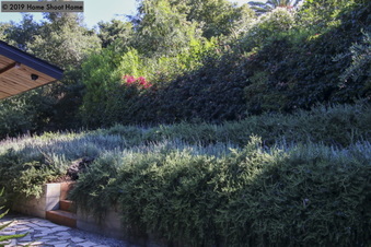 Enlarge photo 117