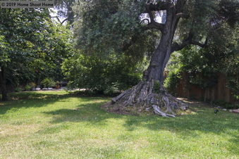 Enlarge photo 52