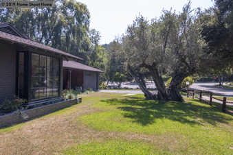 Enlarge photo 62