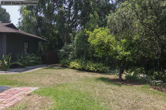 Enlarge photo 63