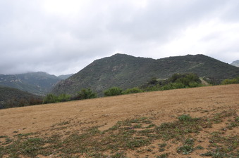 Enlarge photo 4