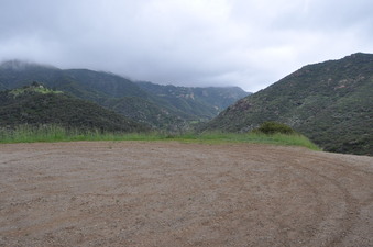 NATURE VISTAS