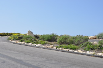 Enlarge photo 3