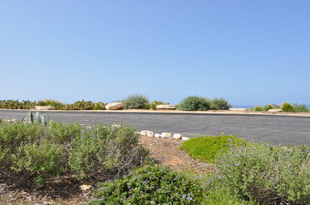 Enlarge photo 19