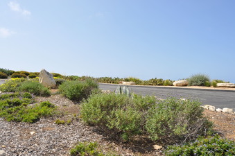 Enlarge photo 20