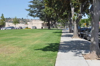 Enlarge photo 11