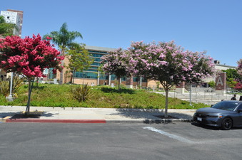 Enlarge photo 8