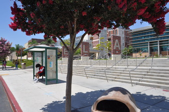 Enlarge photo 13