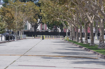 "SPEED WALKING"