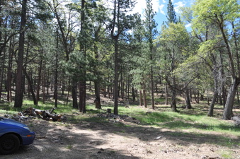 Enlarge photo 2