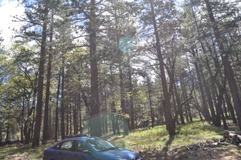 Enlarge photo 6