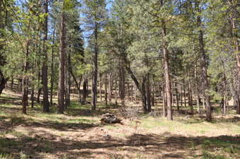 Enlarge photo 5